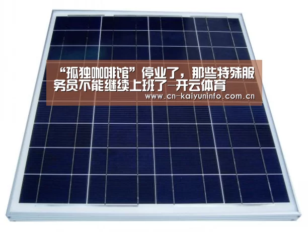 “孤独咖啡馆”停业了,那些特殊服务员不能继续上班了-开云体育(图3) 开云官网
